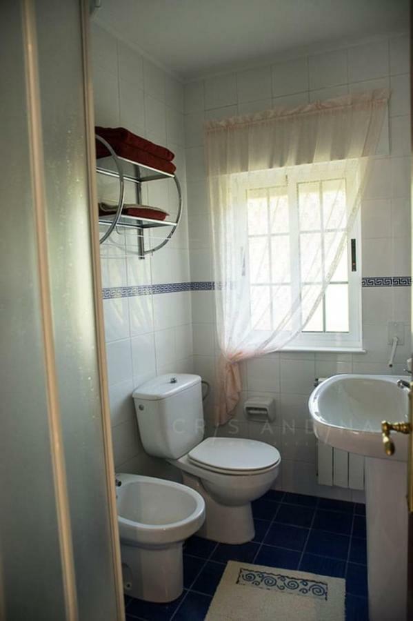 Apartment Amieiro *