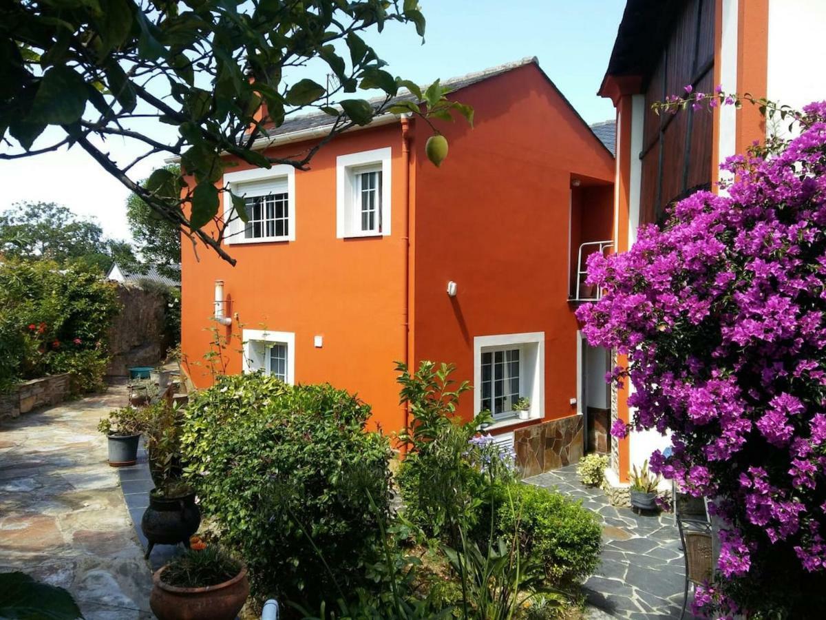 Amieiro